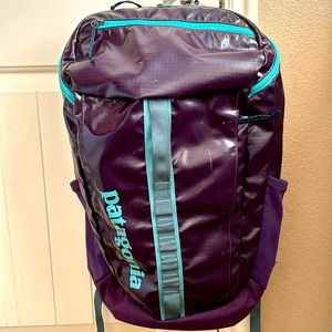 Patagonia Black Hole Backpack 25 liters PURPLE Grape Mint Accents